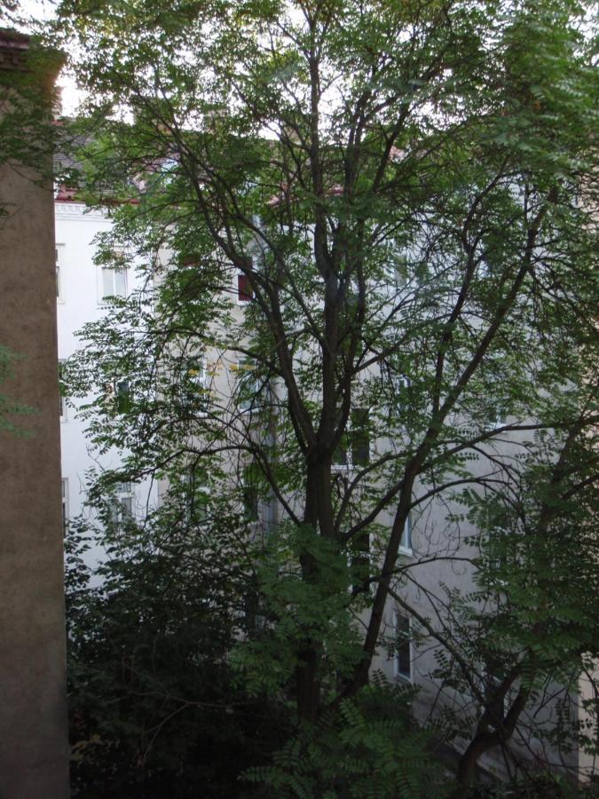 Augartenblick Penthaus 16 Apartment Vienna Exterior photo